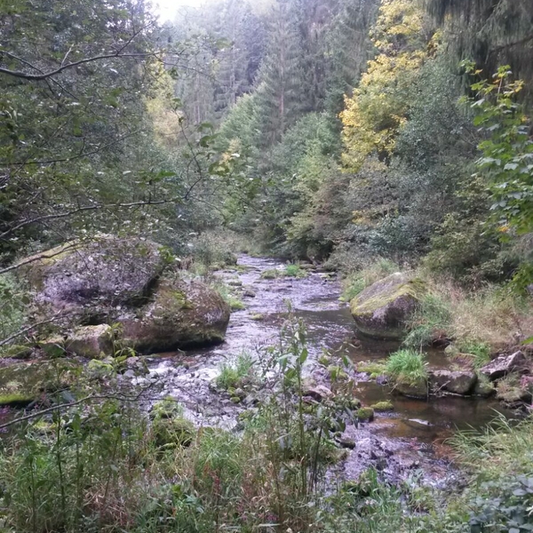 Der Herbst hält Einzug