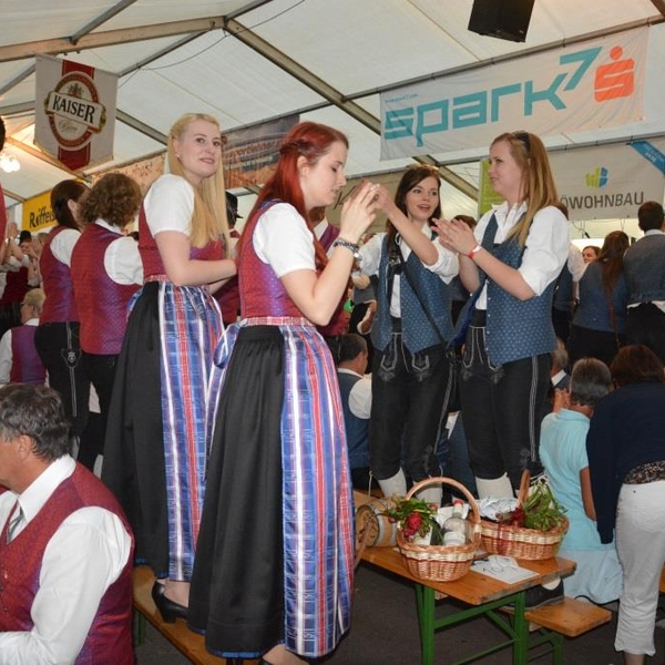 Musikanten am feiern